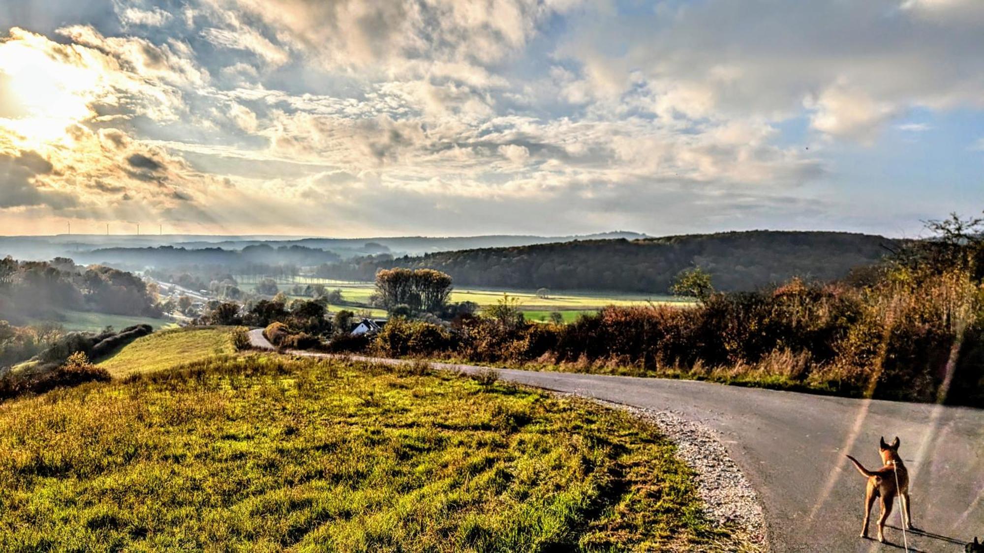 Hotel Panorama Niederfüllbach Eksteriør billede